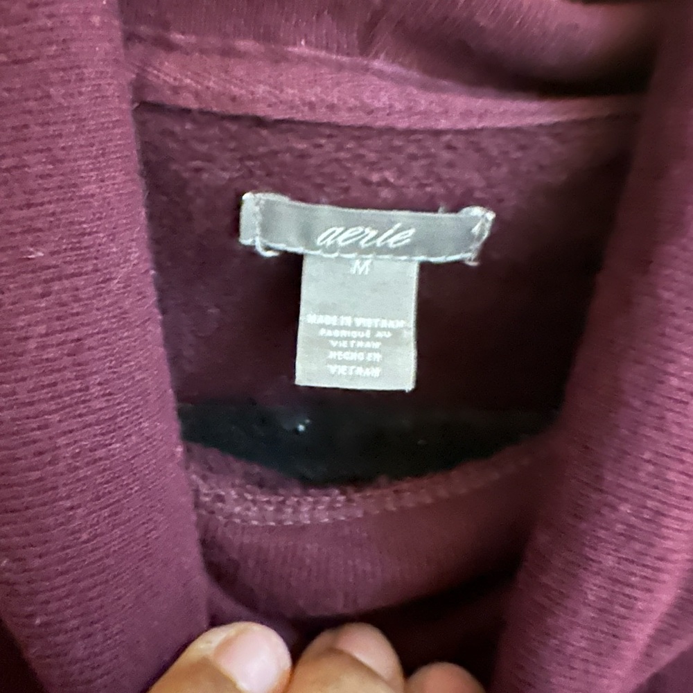 Aerie Sweatshirt